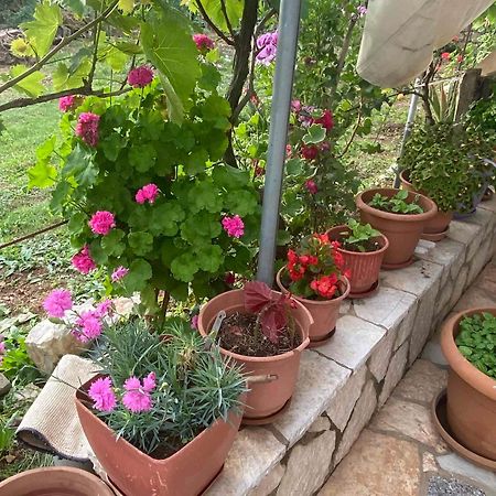 Ilias Family Rooms Himare Bagian luar foto
